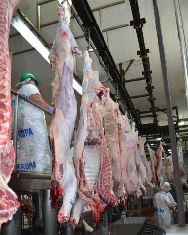 argentine beef suppliers